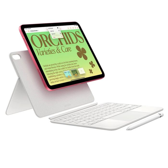 Apple iPad Generasi 10 <br><br>1.200.000/bulan